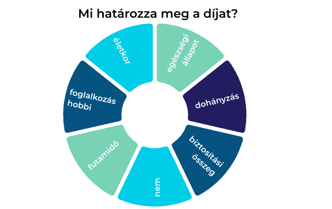Infografika a kockázati életbiztosítás díját befolyásoló tényezőkről.